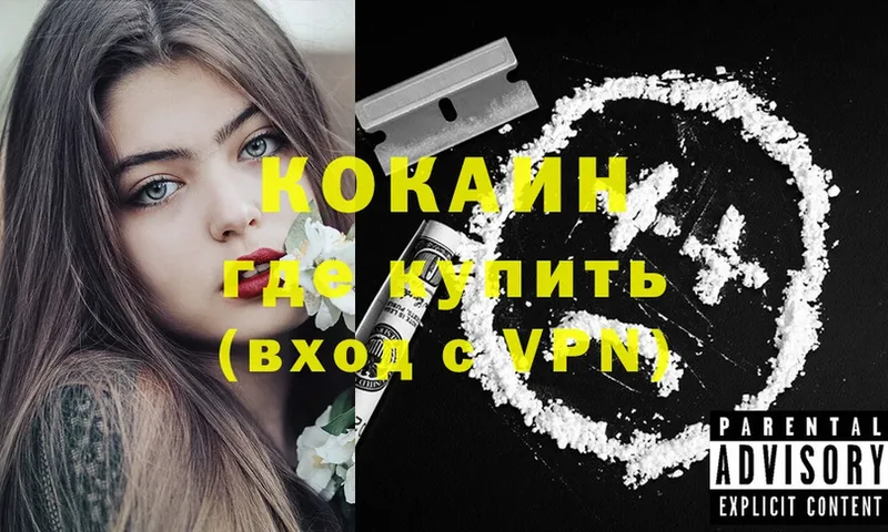 купить  цена  ссылка на мегу маркетплейс  Cocaine Колумбийский  Заречный 